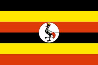 Must read in IJR: Overview of cold storage capacity in Uganda