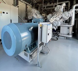 Cool cows: how a dairy plant’s embracing the future with a heat pump