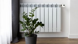 Cielo: How Do Radiator Heaters Work? A Complete Guide