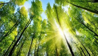 Chart and Bloom Energy team up on carbon capture