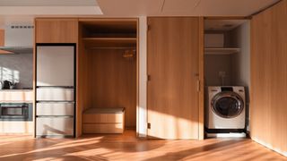Haier Japan: AQUA Japan Explores Diversified Business