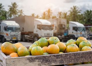 New study highlights the environmental impact of cold chains in agrifood systems
