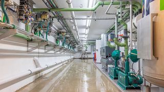 Fixed milking times, clear processes: Batch milking with the GEA DairyRobot R9600 series