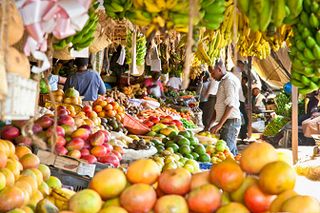 Nigeria needs an additional 50,000 tonnes of cold storage capacity