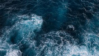Alfa Laval signs Business Call to Action to strengthen global cooperation and accelerate action to conserve and sustainably use the ocean