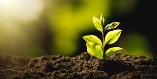 EPTA supports legambiente’s proposal for accelerating the ecological transition of the cold chain