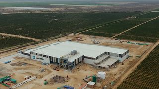 Maersk launches Integrated Packing and Cold Storage Hub to boost Peru’s fruit exports