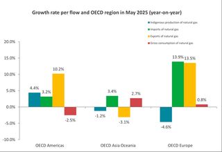 IEA: Monthly Gas Statistics