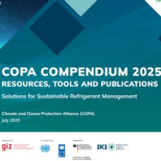 COPA: 2025 COPA Compendium