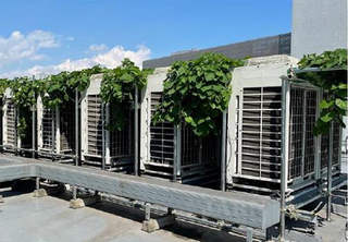 Daikin Starts Outdoor Cooling Project