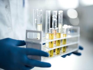UL: Japan Moves To Restrict Chlorpyrifos, MCCPs, LC-PFCAs