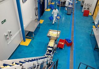 FreshFlow Food Solutions Celebrates First Audit Success with ‘A’ Accreditation