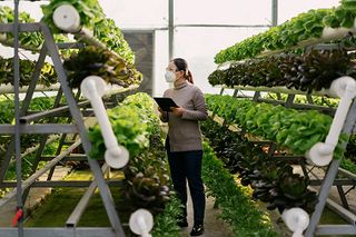 Munters | the AI behind your dinner: How machine learning and sensors are redefining food production