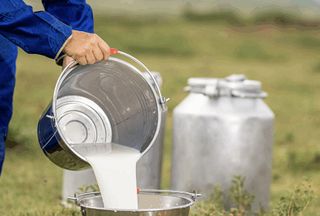 ehpa | Net zero dairy: EU project seeks to electrify milk production