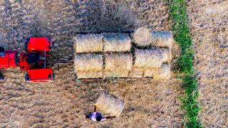 India’s bioenergy sector set for strong growth, driven by effective policy support