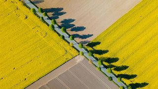 Edible Oils: GEA launches enzymatically enhanced GEA eTOP Degumming solution