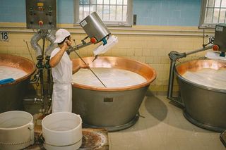 BETTED: IIR invites dairy companies to join tailored energy-efficiency training
