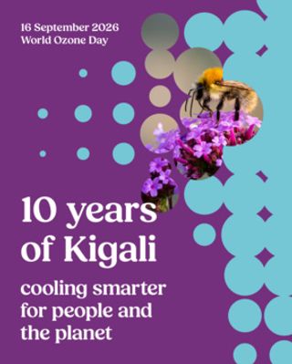 IIR: World Ozone Day 2026