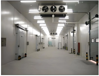 Cold Storage Capacity Tops 270 Million m³ in H1, Up 4.6% Year on Year