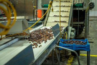 From refrigeration to heat recovery: heat pumps in food processing