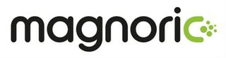 IIR Corporate Member Interview - Magnoric