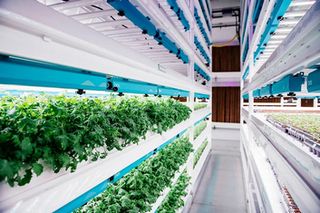 Michigan's Largest Vertical Farm, Processing Plant for Sale